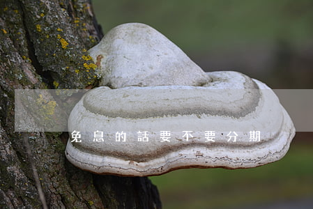 免息的話要不要分期