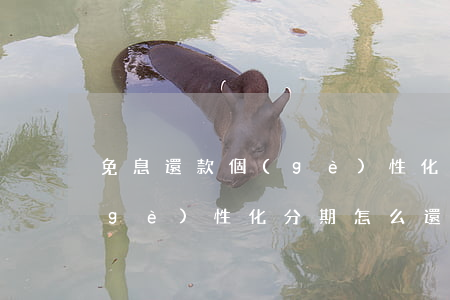 免息還款個(gè)性化分期 免息還款個(gè)性化分期怎么還