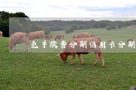 免手续费分期信用卡(分期免手续费的信用卡)
