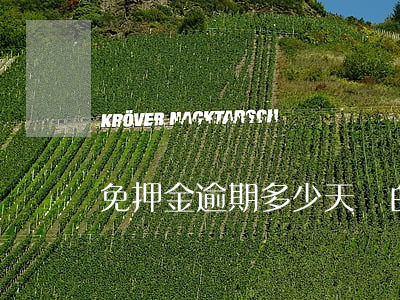 免押金逾期多少天對白鷺分有影響