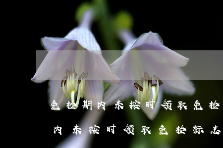 免检期内未按时领取免检标志逾期-免检期内未按时领取免检标志逾期怎么办