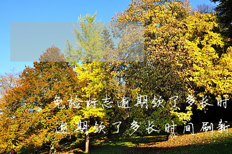 免检标志逾期领了多长时间刷新-免检标志逾期领了多长时间刷新一次