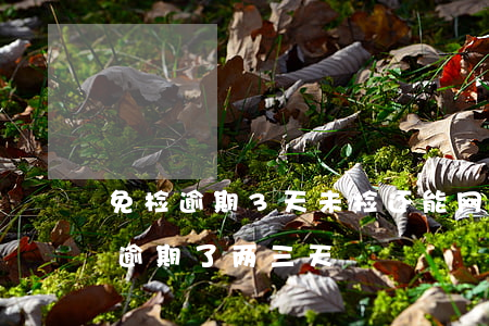 免检逾期3天未检还能网上办理么-免检车逾期了两三天