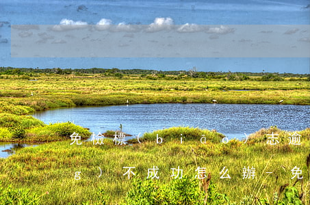免檢標(biāo)志逾期了申請(qǐng)不成功怎么辦-免檢標(biāo)志逾期了申請(qǐng)不成功怎么辦呢
