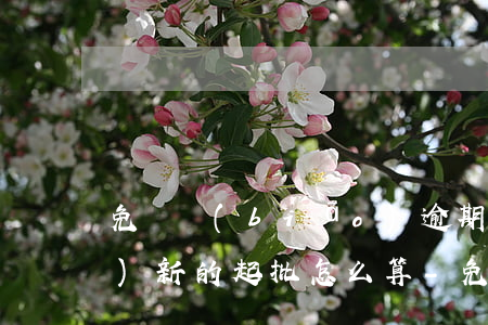 免檢標(biāo)逾期一年領(lǐng)新的起批怎么算-免檢標(biāo)逾期了怎么領(lǐng)取