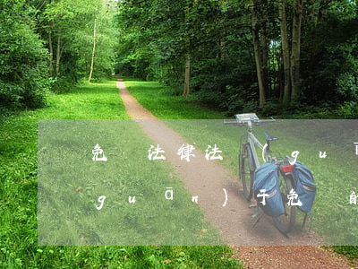 免稅法律法規(guī)(急急需一些關(guān)于免稅的法律條文)