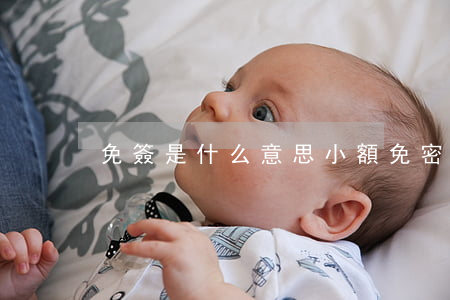 免簽是什么意思(小額免密免簽是什么意思)