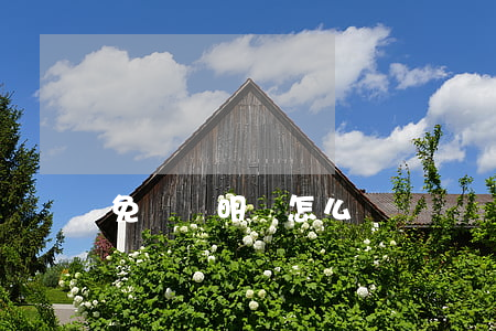 免責聲明書怎么寫
