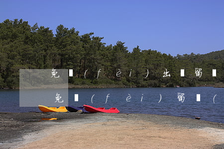 免費(fèi)出國留學(xué)的條件(免費(fèi)留學(xué)生的條件)