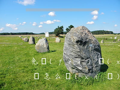免費(fèi)寫(xiě)訴狀(法院起訴狀怎么寫(xiě))