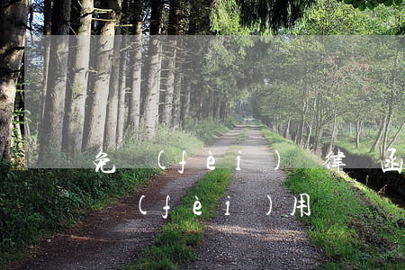 免費(fèi)寫律師函(讓律師寫律師函的費(fèi)用)