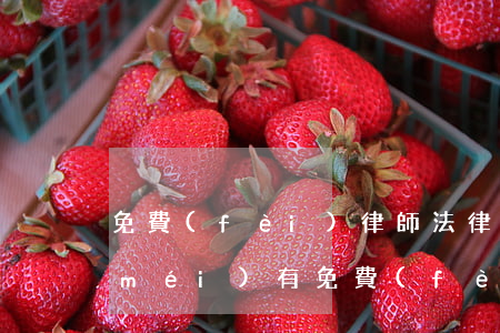 免費(fèi)律師法律援助有用嗎(有沒(méi)有免費(fèi)的法律援助可以咨詢)
