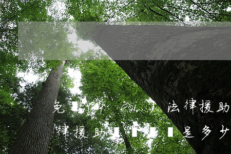 免費(fèi)法律援助(免費(fèi)法律援助電話號碼是多少)