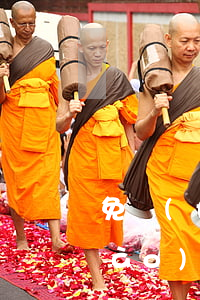 免費(fèi)的律師服務(wù)號(hào)碼多少(律師免費(fèi)咨詢電話號(hào))