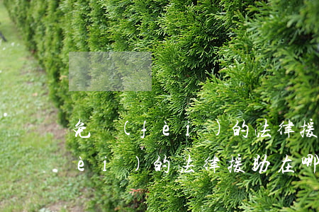 免費(fèi)的法律援助怎么找(免費(fèi)的法律援助在哪里申請(qǐng))