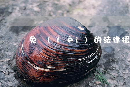 免費(fèi)的法律援助是否存在