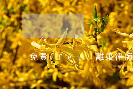 免費(fèi)離婚律師
