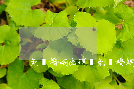 免費婚姻法律師(免費婚姻法律師咨詢)