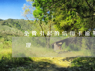 免費引起的信用卡逾期 最新的信用卡逾期處理