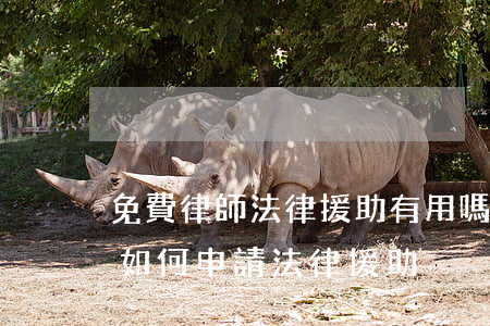 免費律師法律援助有用嗎(法院有免費律師嗎如何申請法律援助)