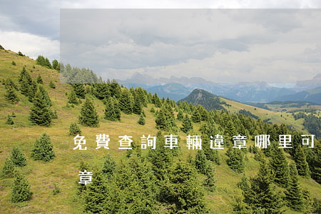 免費查詢車輛違章(哪里可以免費查詢車輛違章)
