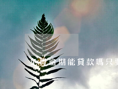 免費逾期能貸款嗎(只要逾期就不能貸款了嗎?)