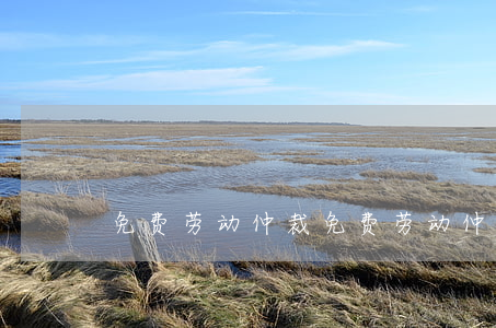 免费劳动仲裁(免费劳动仲裁在线咨询)