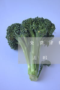免费律师微信号靠谱吗(律师微信咨询收费合法吗)