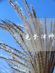 免费律师解答问题(免费律师在线解答我)
