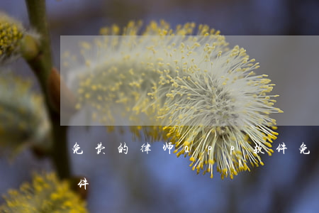 免费的律师app软件(免费的律师app软件)