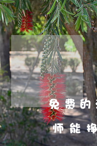 免费的法律援助律师赚什么钱啊(法律援助律师能挣多少钱)