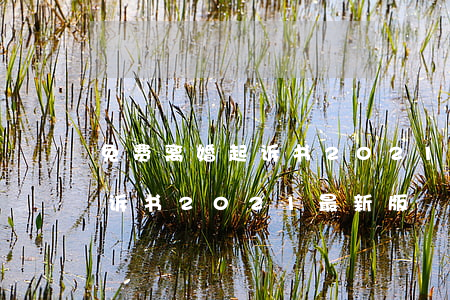 免费离婚起诉书2021最新版(免费离婚起诉书2021最新版)