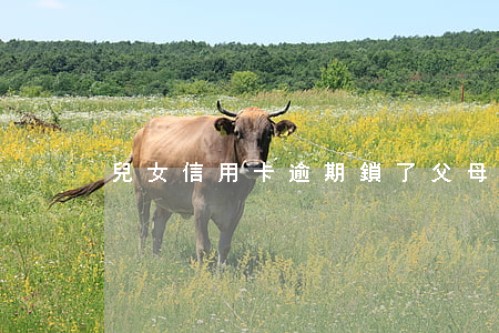 兒女信用卡逾期鎖了父母微信