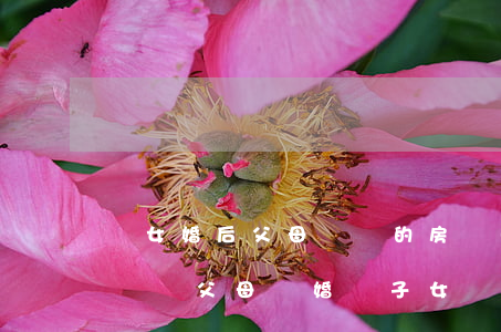 兒女婚后父母給買的房產(chǎn)離婚屬誰(父母離婚給子女買的房子歸誰)