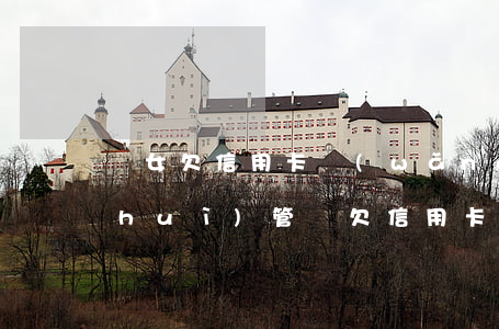 兒女欠信用卡網(wǎng)貸派出所會(huì)管嗎(欠信用卡錢會(huì)影響子女嗎)