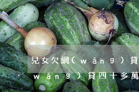 兒女欠網(wǎng)貸幾十萬(家人欠網(wǎng)貸四十多萬怎么辦)