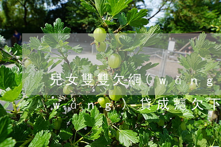 兒女雙雙欠網(wǎng)貸(一雙兒女網(wǎng)貸成癮欠下30多萬(wàn) 視頻)
