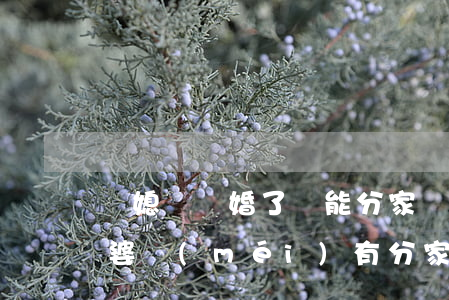 兒媳婦離婚了還能分家財(cái)么(和公婆沒(méi)有分家離婚能分割財(cái)產(chǎn)嗎)