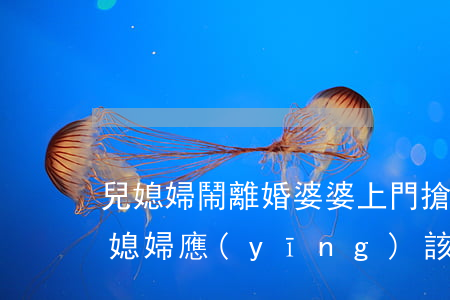 兒媳婦鬧離婚婆婆上門搶孩子(公婆鬧離婚兒媳婦應(yīng)該參與嗎)