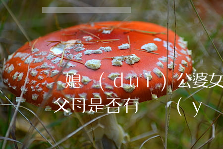 兒媳對(duì)公婆,女婿對(duì)岳父母是否有贍養(yǎng)義務(wù)