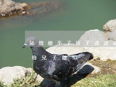 兒媳懷不了孩子婆婆逼著離婚(婆婆為什么不怕兒子離婚)