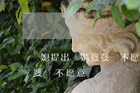 兒媳提出離婚婆婆還不愿意(兒媳提出離婚婆婆還不愿意)