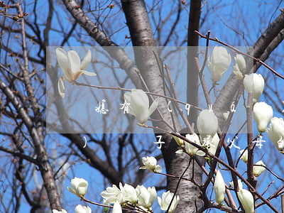 兒媳有權(quán)繼承遺產(chǎn)嗎(兒子繼承父母的遺產(chǎn)媳婦有權(quán)爭嗎)
