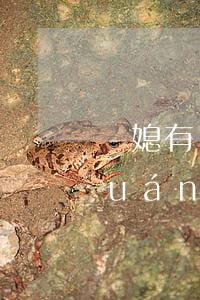 兒媳有繼承公婆的房產(chǎn)權(quán)嗎(媳婦能不能繼承公公婆婆房產(chǎn))
