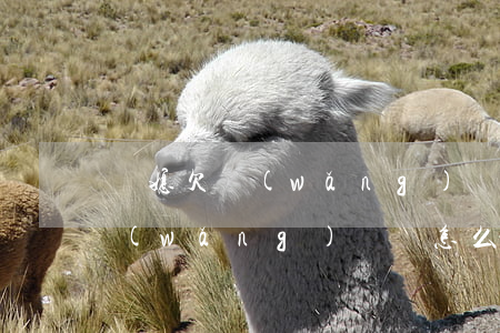 兒媳欠網(wǎng)貸怎么辦(老婆欠了網(wǎng)貸該怎么辦)