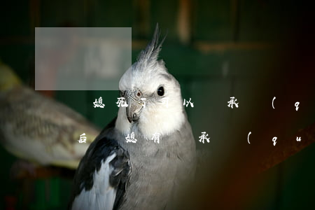 兒媳死了可以繼承權(quán)嗎(公婆死后兒媳有繼承權(quán)嗎)