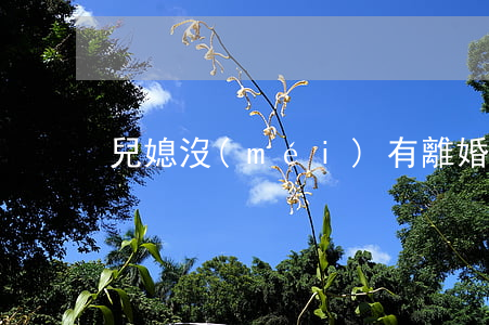 兒媳沒(méi)有離婚婆婆就大擺喜酒