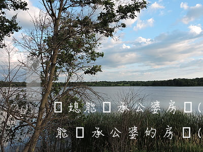 兒媳能繼承公婆房產(chǎn)嗎(兒媳婦能繼承公婆的房產(chǎn)嗎)