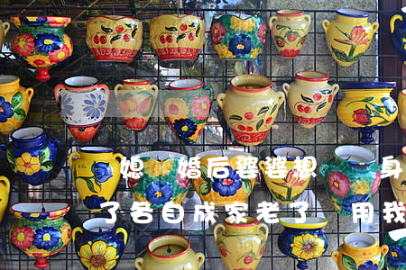 兒媳離婚后婆婆想讓凈身出戶(公公婆婆離婚了各自成家,老了還用我們贍養(yǎng)怎么辦?)