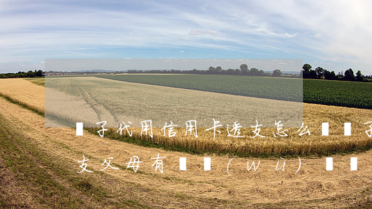 兒子代用信用卡透支怎么辦(兒子辦信用卡透支父母有義務(wù)還嗎)